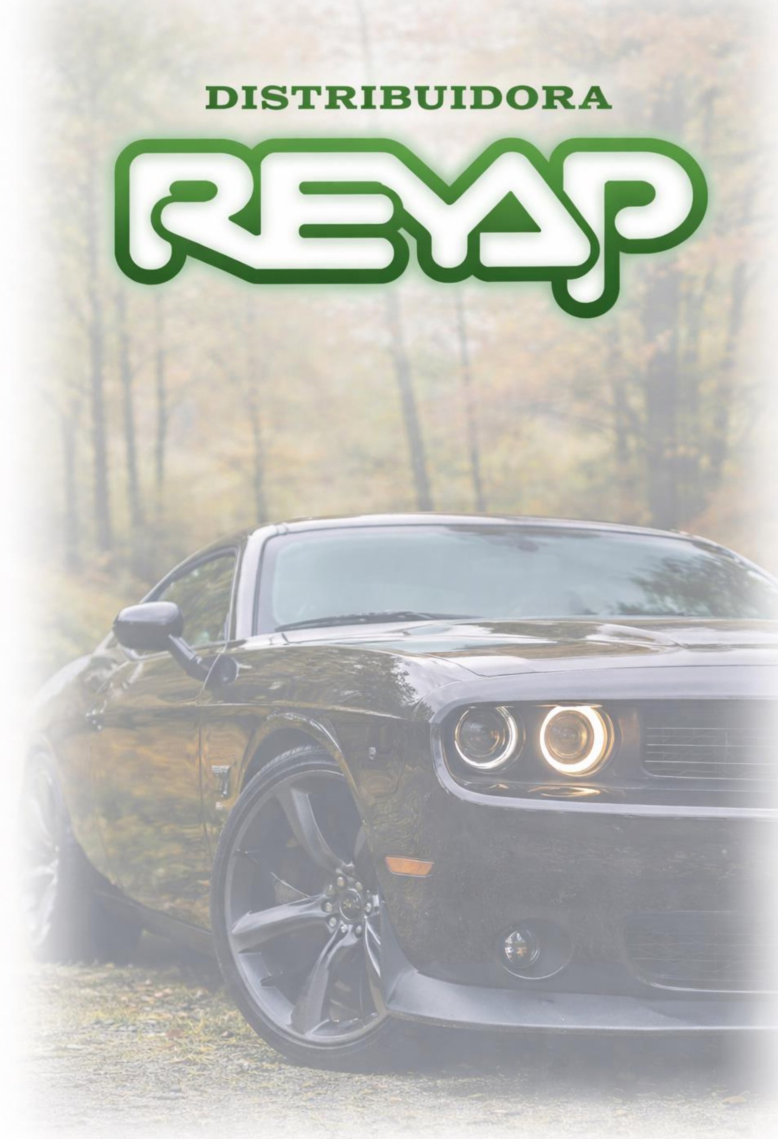 Presentación REYAP